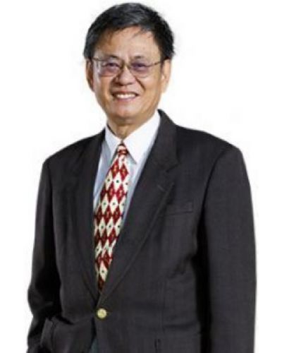 <span>2017 Awardees</span><div>Academician<br> Dr. Chien-Te Chen</div>